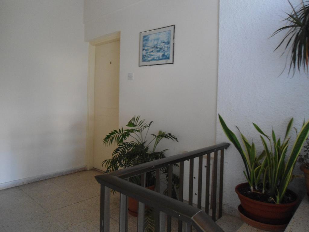 Terpsithea Apartments Ayia Napa Room photo
